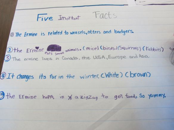 Important facts about Ermines