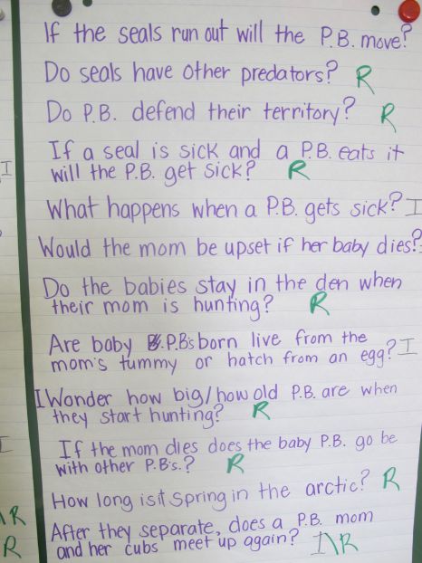  Deep Thinking Questions: Ice Bear There's a Book for That