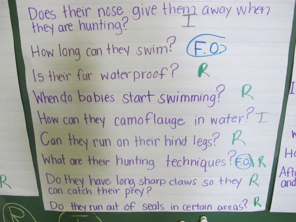 Coding our questions  Deep Thinking Questions: Ice Bear There's a Book for That