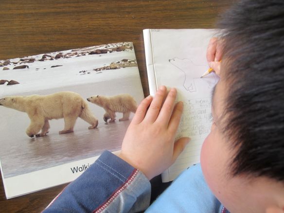  Deep Thinking Questions: Ice Bear There's a Book for That