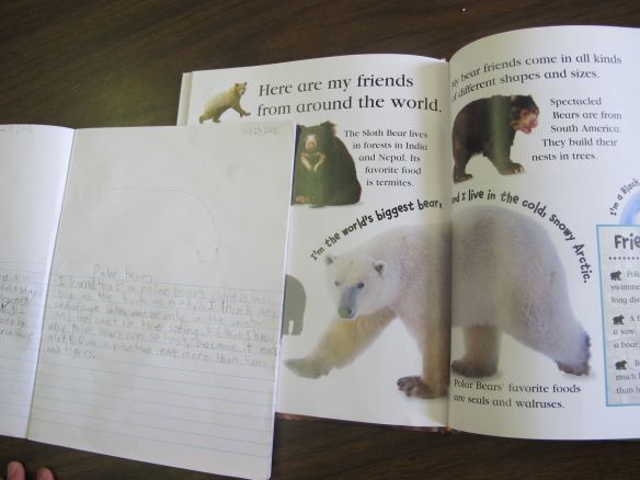  Deep Thinking Questions: Ice Bear There's a Book for That