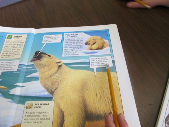 Look! Read here!  Deep Thinking Questions: Ice Bear There's a Book for That