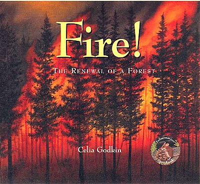 Nonfiction 10 for 10: There's a Book for that