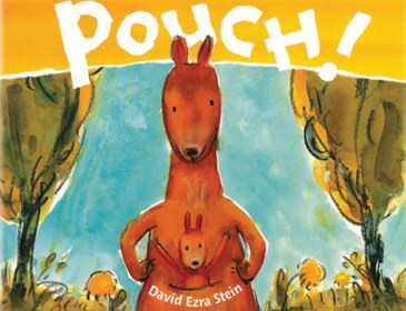 Pouch David Ezra Stein