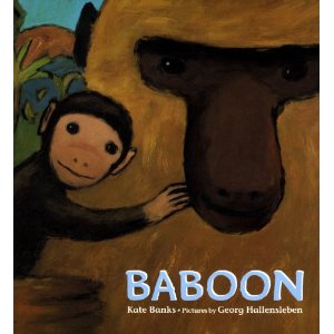baboon