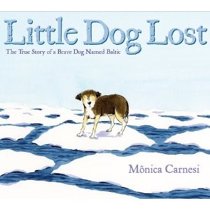 little-dog-lost