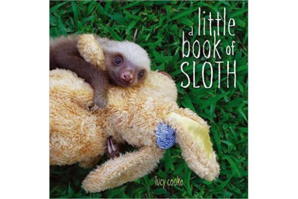 a little book of sloth NF Picture Book Favourites of 2013 There's a Book for That