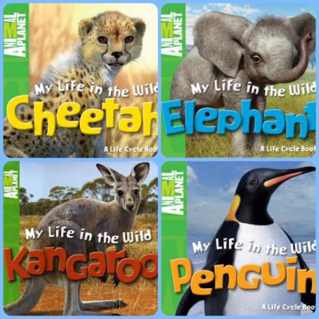 Animal Planet series  Nonfiction Picture Book Wednesday There is a Book for that