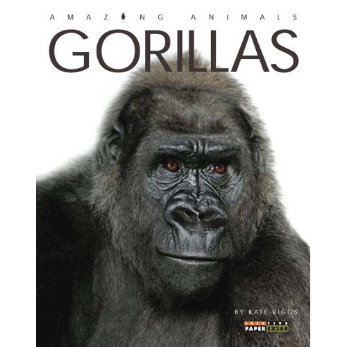 gorillas