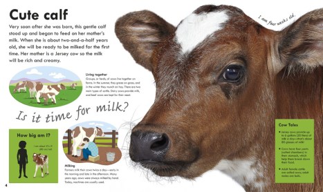 Nonfiction Picture Book Wednesday: Farm Animals