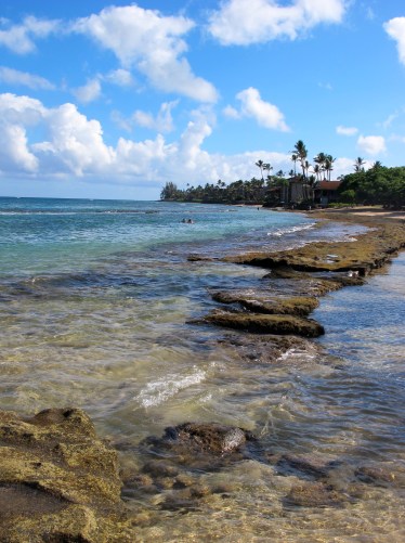 #IMWAYR It's a Book for That