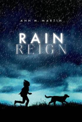 Rain Reign Favourites of 2014 There's a Book for That