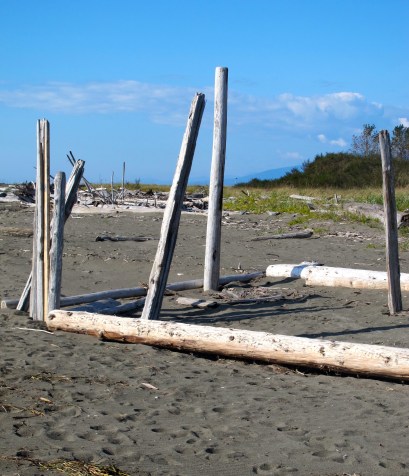 The Part That is True There's a Book for That via Carrie Gelson