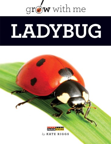 Nonfiction Picture Book Wednesday: Dirt, Roots & Shoots and Ladybugs