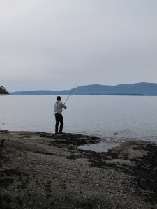 Celebration: Stories, Special Days and Spring Cleaning There's a Book for That