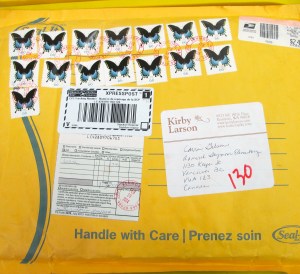  Celebration: Bookish Things There's a Book for That