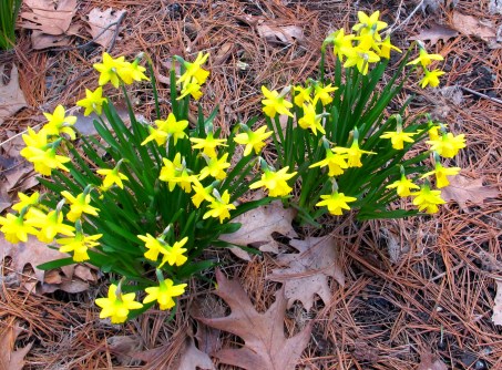 Celebration:  Time to . . . 