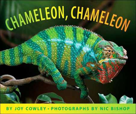 Nic Bishop photography for all ages and stages #NFPB2014 There's a Book for That