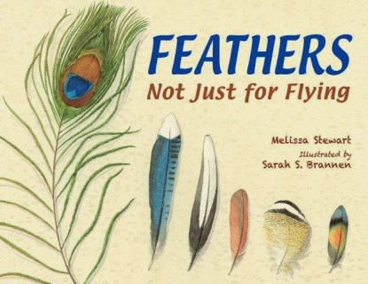 Feathers Not Just for Flying Nonfiction Picture Book Wednesday: So, I think I might read . . . 