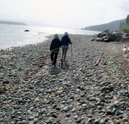 #IMWAYR There's a Book for That