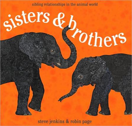 sisters and brothers  #IMWAYR There's a Book for That