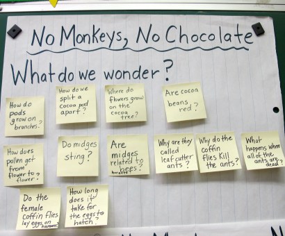 Teaching with a Passion for nonfiction: Part 2 The importance of the nonfiction read aloud There's a Book for That