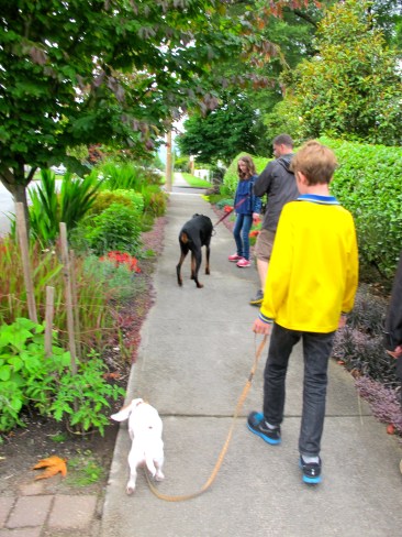 Celebration: Little Visits There's a Book for That