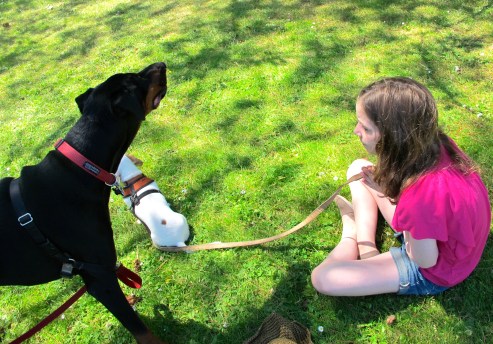 Celebration: Little Visits There's a Book for That