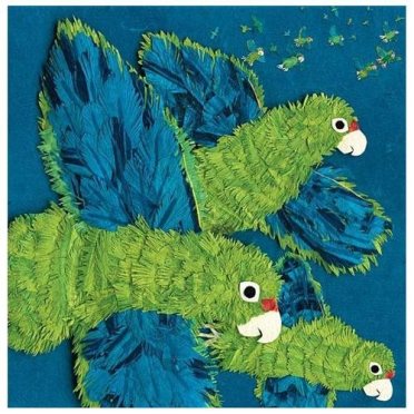  Parrots over Puerto Rico Nonfiction Picture Book Wednesday: So, I think I might read . . . 
