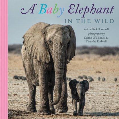  A Baby Elephant in the Wild  #IMWAYR Monday August 11th, 2014 There's a Book for That