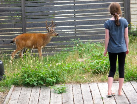  #IMWAYR There's a Book for That