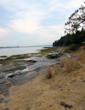  #IMWAYR There's a Book for That