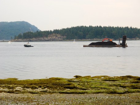  Celebration: Island Moments There's a Book for That