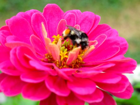  #IMWAYR There's a Book for That