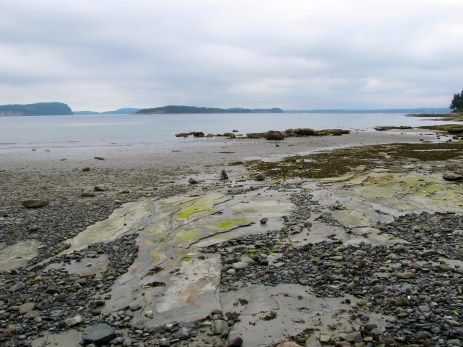  Celebration: Island Moments There's a Book for That