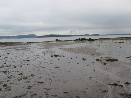  Celebration: Island Moments There's a Book for That