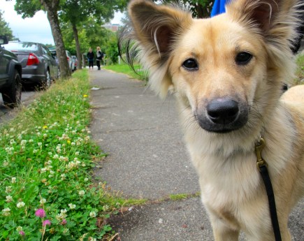 Celebration: Acts of Kindness There's a Book for that