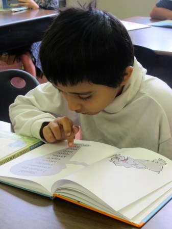 Celebration: Everything that happened (almost)