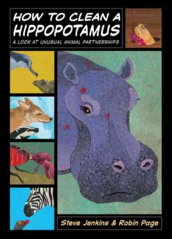How to Clean a Hippopotamus Nonfiction Picture Book Wednesday: A focus on Steve Jenkins titles