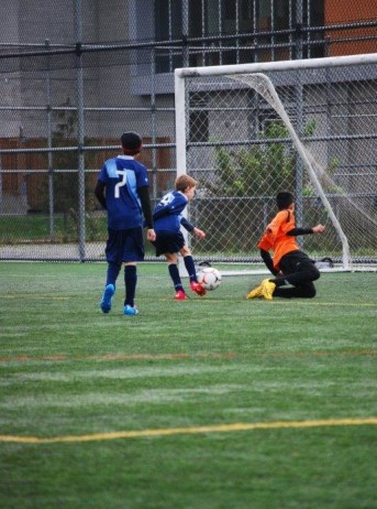 Celebration: "I have 5 things to share."