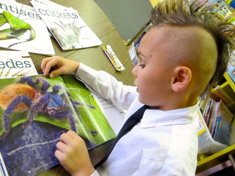 Talking spiders There's a Book for That