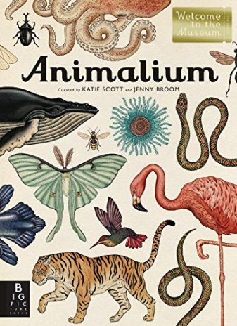 Animalium Nonfiction Picture Book Wednesday: My current TBR list, nonfiction style There's a Book for That