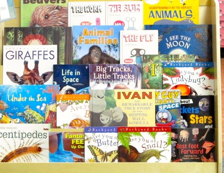 Nonfiction Picture Book Wednesday: Nonfiction "on the go" in our room There's a Book for That