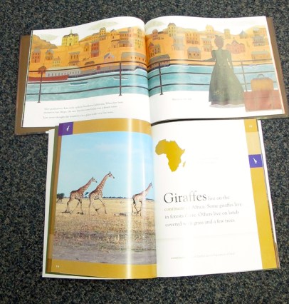 Nonfiction Picture Book Wednesday: Nonfiction "on the go" in our room There's a Book for That