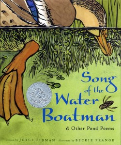 Songs of the Waterboatman