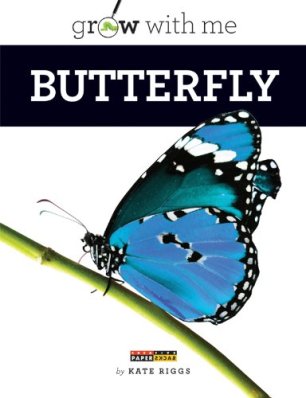 Grow with me Butterfly Read Alones: Fantastic nonfiction picture books for primary students