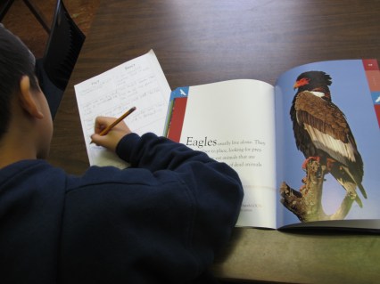 Nonfiction Picture Book Wednesday: A celebration of nonfiction enthusiasm