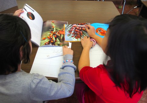 Nonfiction Picture Book Wednesday: A celebration of nonfiction enthusiasm