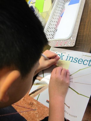 Nonfiction Picture Book Wednesday: A celebration of nonfiction enthusiasm