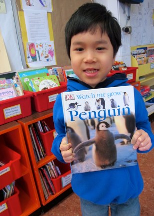 Read Alones: Fantastic nonfiction picture books for primary students